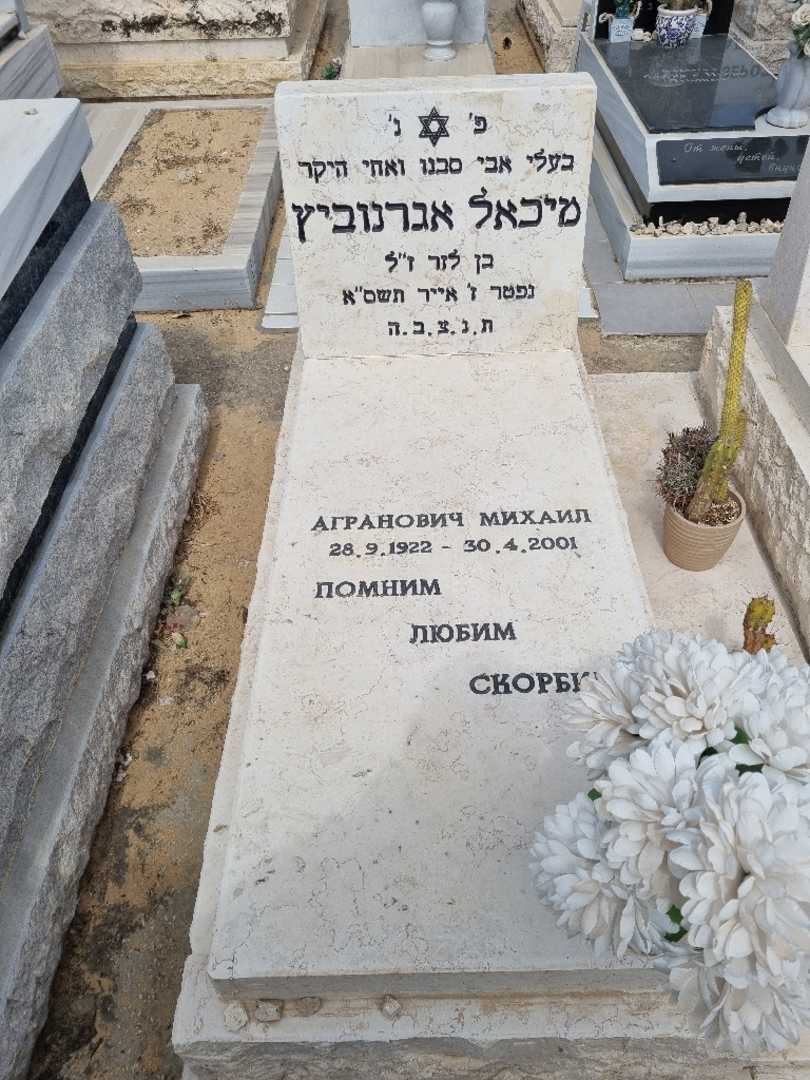 קברו של מיכאל אגרנוביץ. תמונה 2
