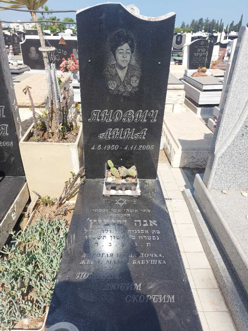 קברו של גנה ינוביץ'. תמונה 2