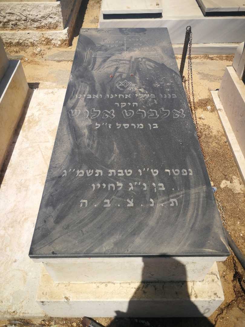 קברו של אלברט אלוש. תמונה 1
