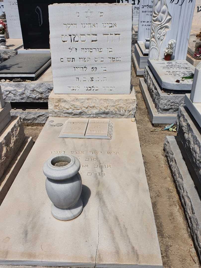 קברו של דוד ביסמוט. תמונה 2