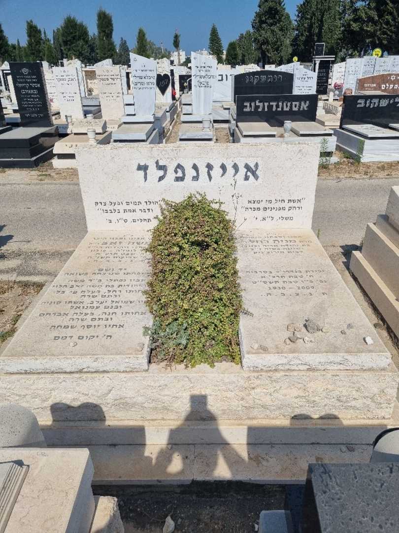 קברו של משה אייזנפלד. תמונה 3