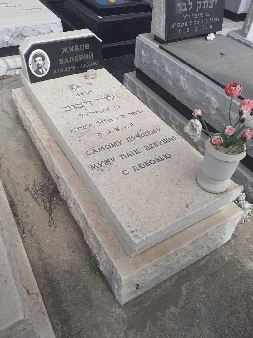 קברו של ולרי זיבוב. תמונה 2