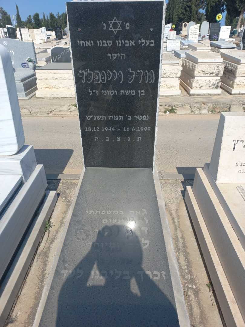 קברו של גודל ויינפלד