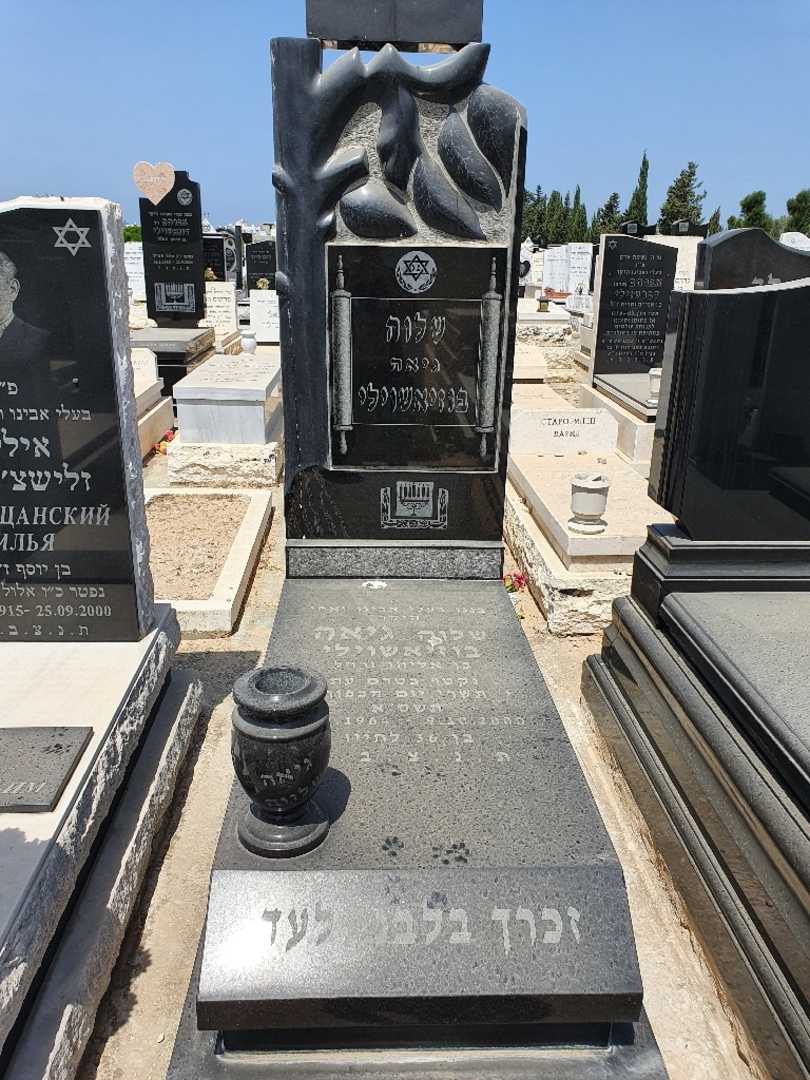 קברו של שלוה גיא בוזאשוילי. תמונה 2